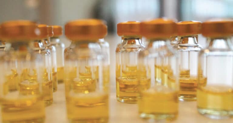 Rows of media filled vials, ready for inspection.