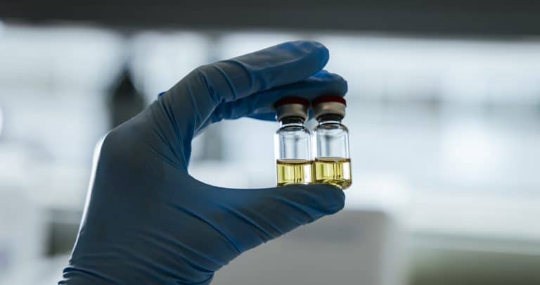 A gloved hand holds two media filled vials for inspection.